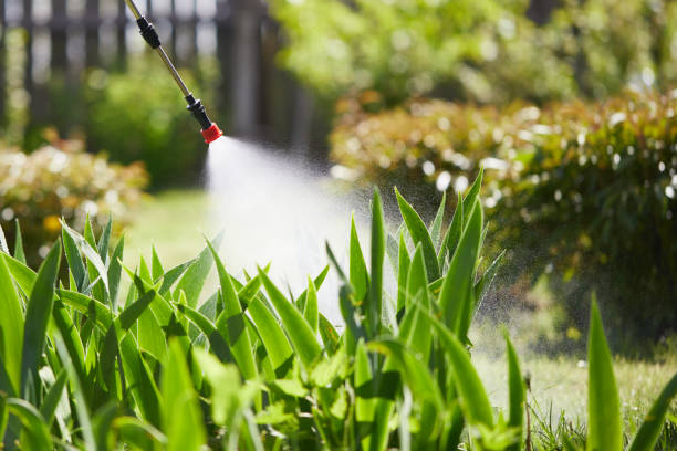 24/7 Emergency Fumigation Services experts in Montalvin Manor, CA