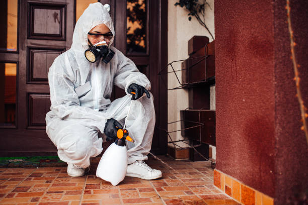 Reliable Fumigation Services contractor in Montalvin Manor, CA by Nex Pest Control