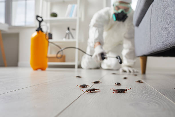 Trusted Fumigation Services service in Montalvin Manor, CA - Nex Pest Control