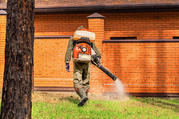 Trusted Termite Control service in Montalvin Manor, CA - Nex Pest Control